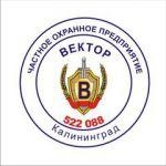 Логотип Вектор ЧОП