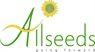 Allseeds: отзывы о работодателе