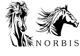 Логотип Норбис-Сервис