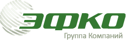 Логотип ЭФКО
