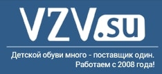 Логотип Vzv.su
