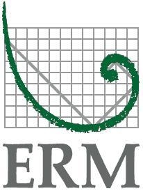 Логотип ERM