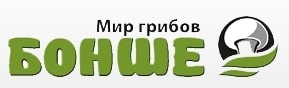 БОНШЕ: отзывы о работодателе