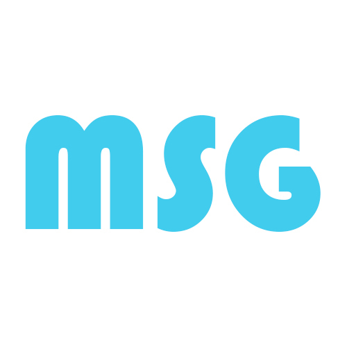 Логотип MegaShopGroup.ru