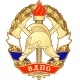 Логотип Всероссийское добровольное пожарное общество» 