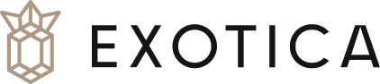 Логотип Студия Exotica