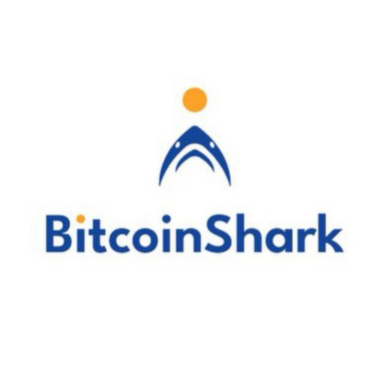 BitcoinShark: отзывы о работодателе